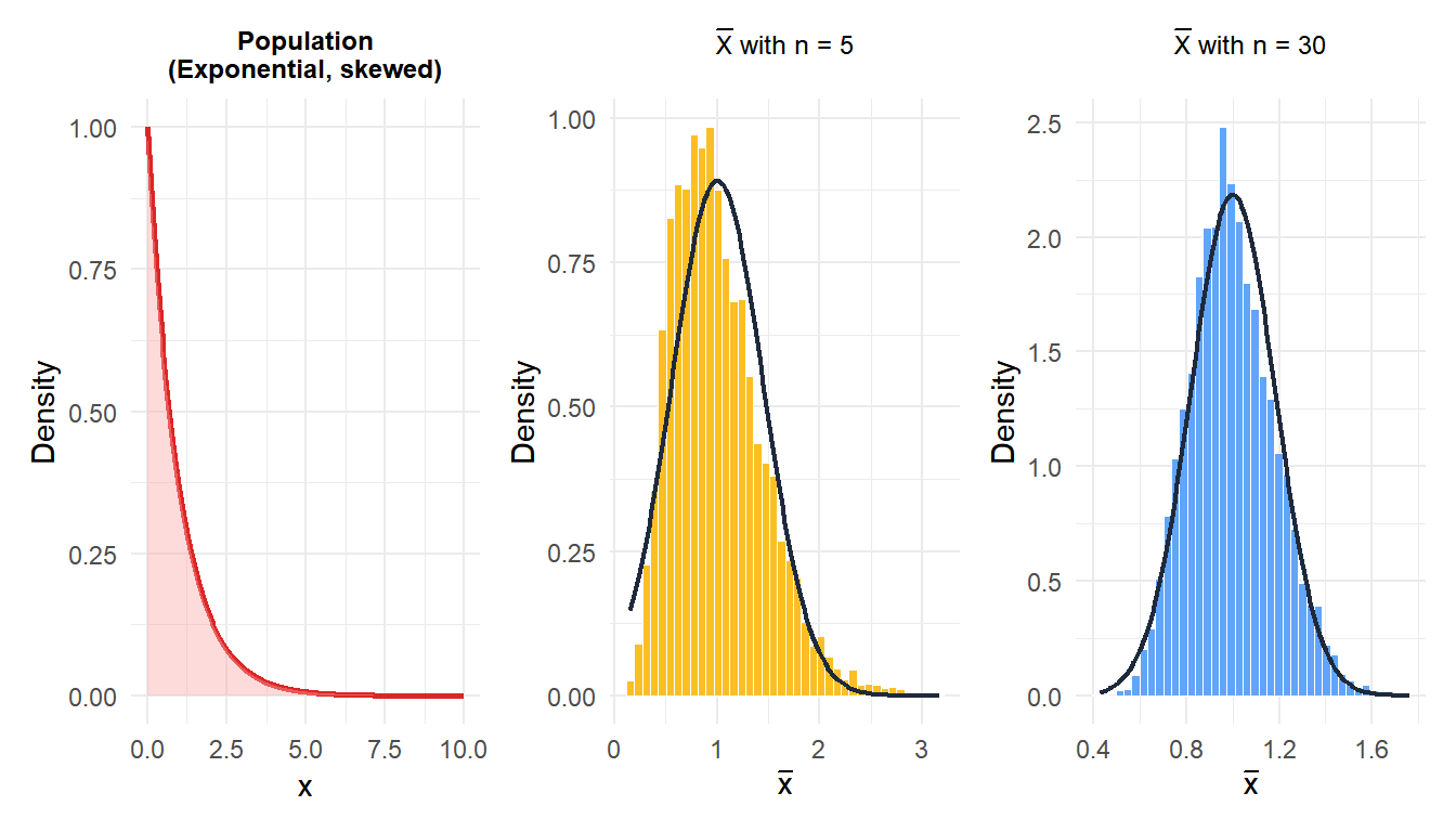 Means of samples from a heavily right-skewed exponential population converge to normality as n increases