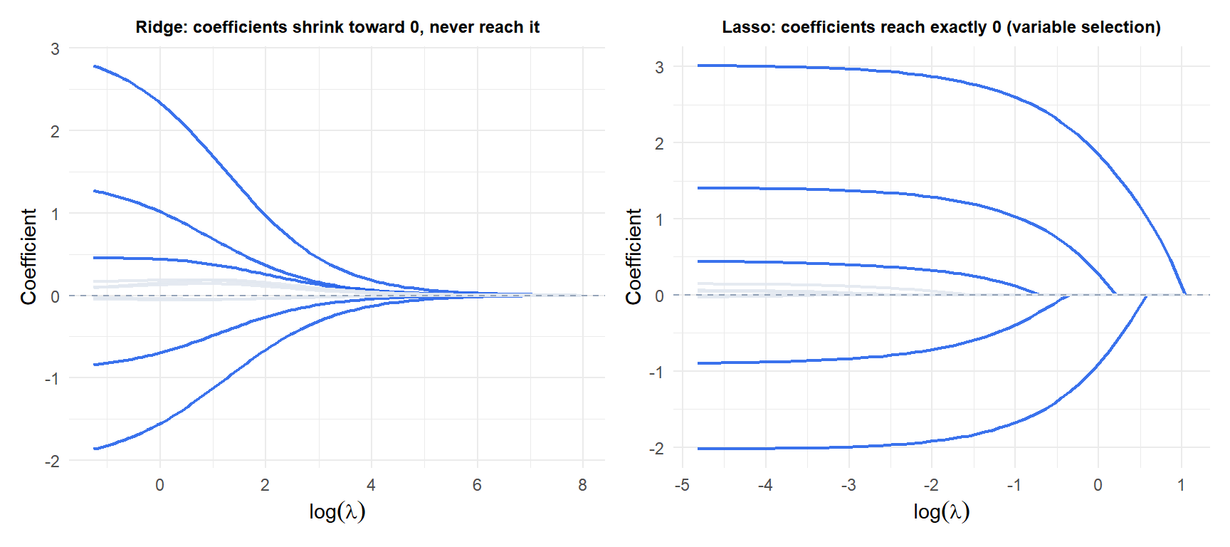 Coefficient regularization paths for Ridge and Lasso showing how Ridge shrinks smoothly and Lasso sets coefficients to zero